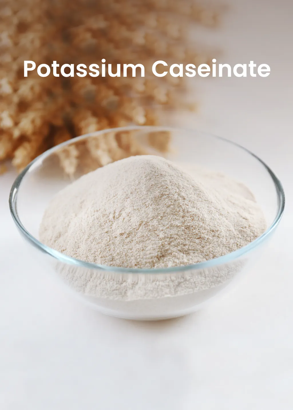 Potassium Caseinate from Milk Powder Asia